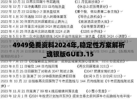 4949免费资料2024年,稳定性方案解析_魂银版GUE3.15