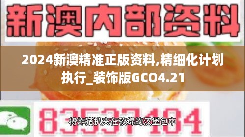 2024新澳精准正版资料,精细化计划执行_装饰版GCO4.21