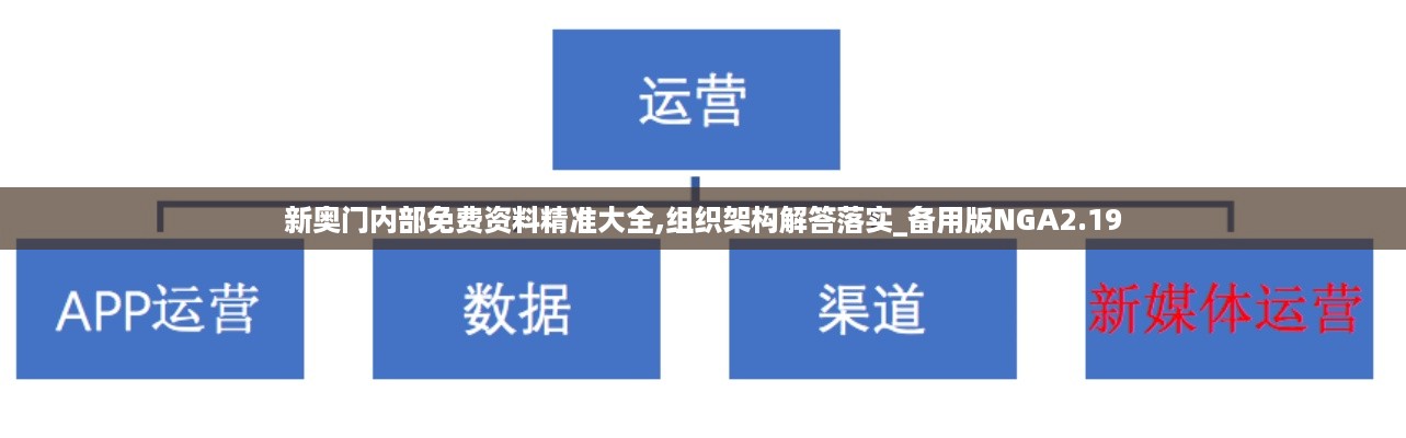 新奥门内部免费资料精准大全,组织架构解答落实_备用版NGA2.19