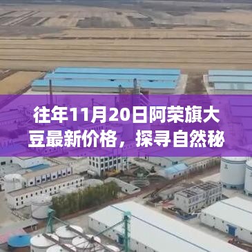 阿荣旗大豆最新价格与探寻自然秘境之旅，内心的宁静与自然的微笑探索之旅。