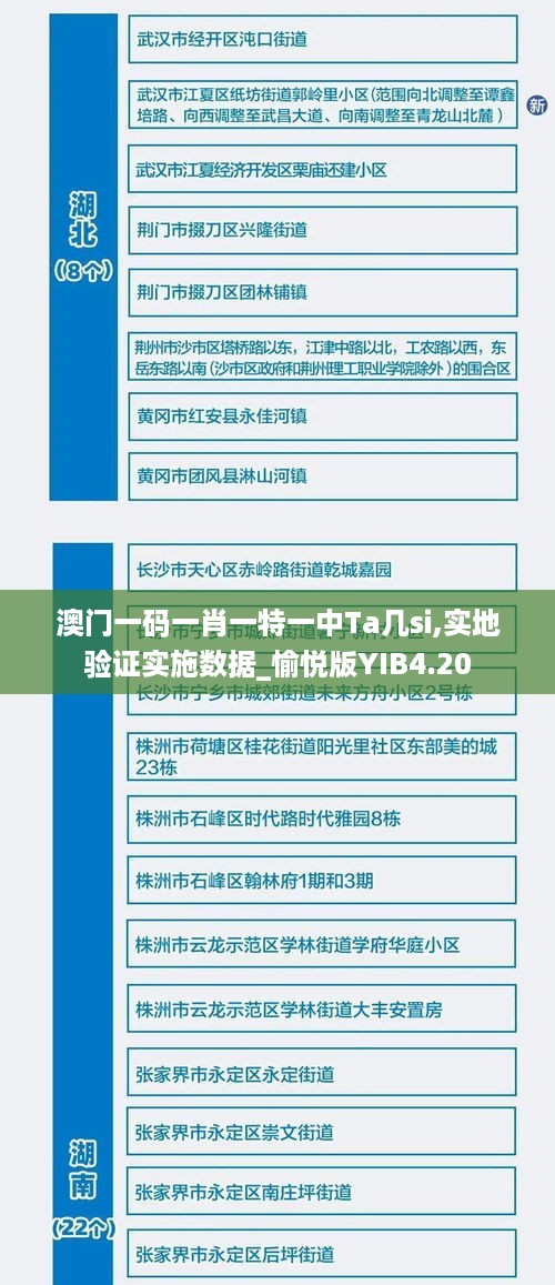 澳门一码一肖一特一中Ta几si,实地验证实施数据_愉悦版YIB4.20