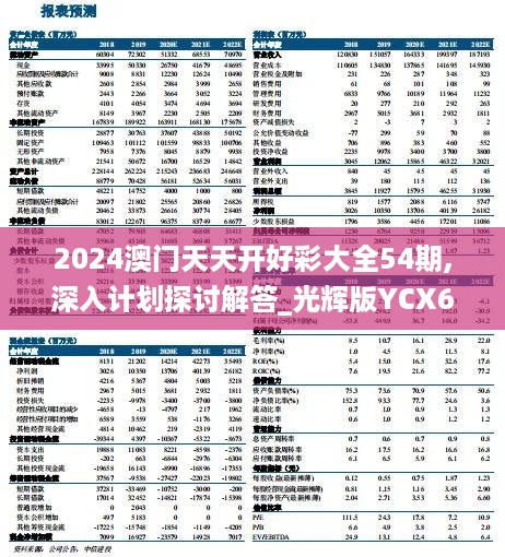 2024澳门天天开好彩大全54期,深入计划探讨解答_光辉版YCX6.79