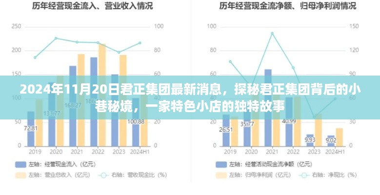 君正集团最新动态揭秘，小巷秘境中的特色小店故事（2024年11月20日）