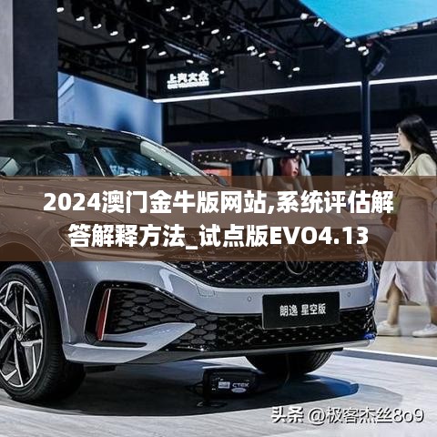 2024澳门金牛版网站,系统评估解答解释方法_试点版EVO4.13