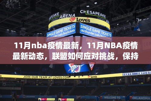 11月NBA疫情最新动态，联盟应对策略与赛事运转挑战