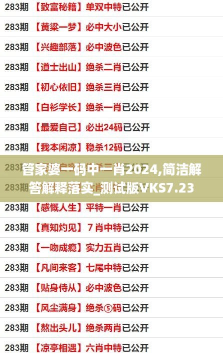 管家婆一码中一肖2024,简洁解答解释落实_测试版VKS7.23