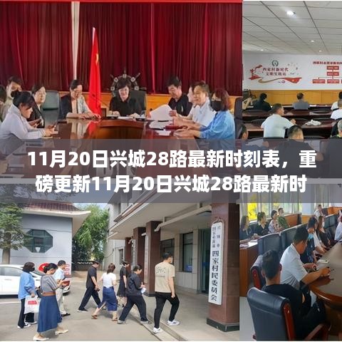 11月20日兴城28路最新时刻表大全，出行必备参考