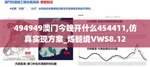 494949澳门今晚开什么454411,仿真实现方案_炼髓境VWS8.12