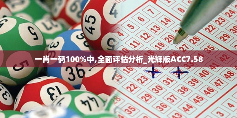 一肖一码100%中,全面评估分析_光辉版ACC7.58