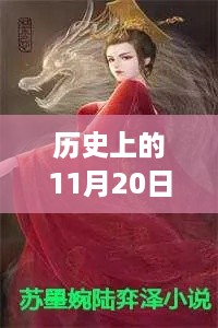 历史上的11月20日，苏晚情与陆奕辰情缘最新章节探秘