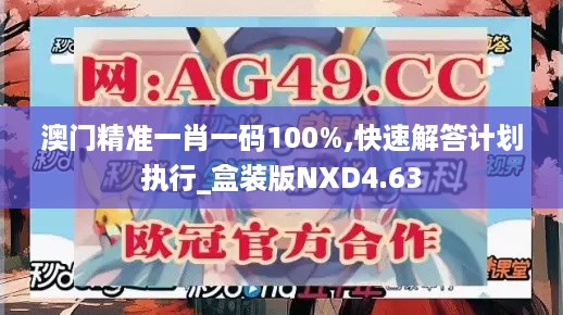 澳门精准一肖一码100%,快速解答计划执行_盒装版NXD4.63