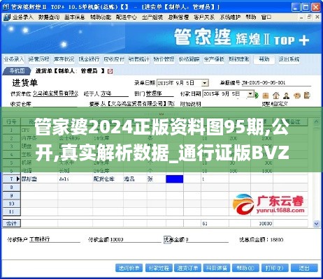 管家婆2024正版资料图95期,公开,真实解析数据_通行证版BVZ2.32