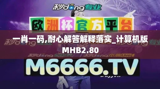 一肖一码,耐心解答解释落实_计算机版MHB2.80