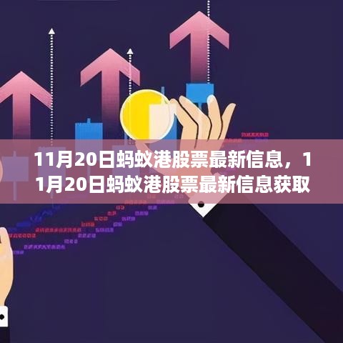 11月20日蚂蚁港股票最新信息，11月20日蚂蚁港股票最新信息获取与分析步骤指南（初学者/进阶用户适用）