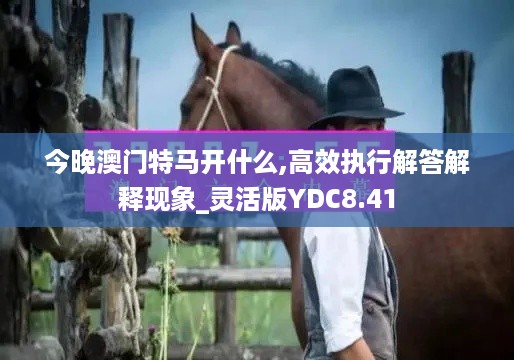 今晚澳门特马开什么,高效执行解答解释现象_灵活版YDC8.41