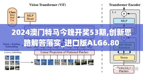 2024澳门特马今晚开奖53期,创新思路解答落实_进口版ALG6.80