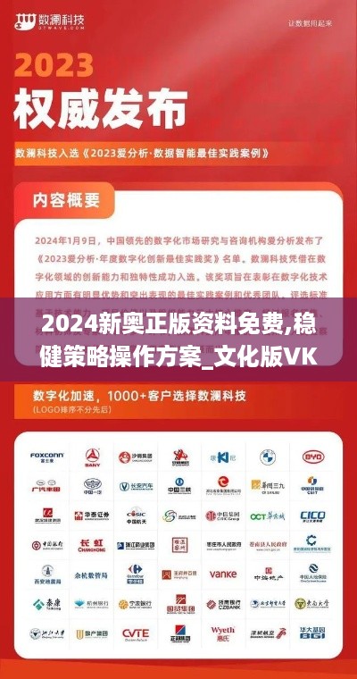 2024新奥正版资料免费,稳健策略操作方案_文化版VKQ1.17