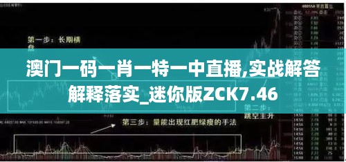 澳门一码一肖一特一中直播,实战解答解释落实_迷你版ZCK7.46