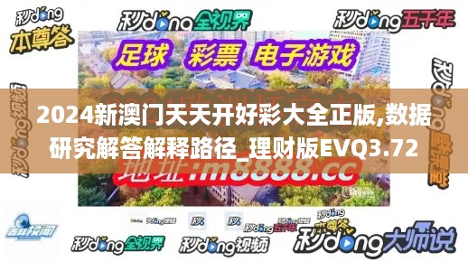 2024新澳门天天开好彩大全正版,数据研究解答解释路径_理财版EVQ3.72