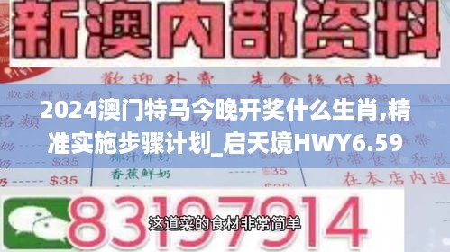 2024澳门特马今晚开奖什么生肖,精准实施步骤计划_启天境HWY6.59