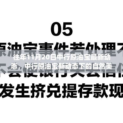 中行原油宝最新动态下的自然美景之旅，探寻内心宁静与喜悦的旅程