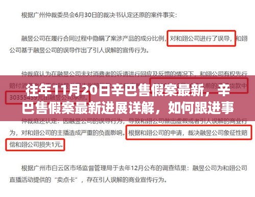 辛巴售假案最新进展揭秘，维护消费者权益的举措与事件跟踪详解