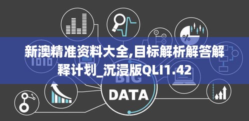 新澳精准资料大全,目标解析解答解释计划_沉浸版QLI1.42