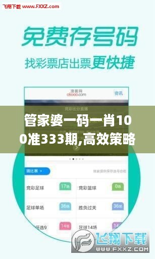 管家婆一码一肖100准333期,高效策略应用计划解答_XYM7.36.79车载版