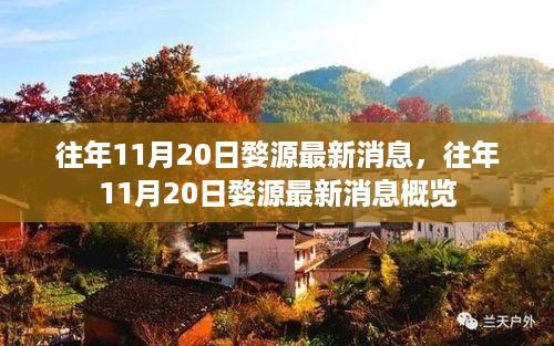 往年11月20日婺源最新消息概览，最新动态与风景一览无余