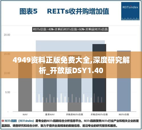 4949资料正版免费大全,深度研究解析_开放版DSY1.40