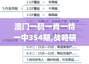 澳门一码一肖一恃一中354期,战略研究解答解释方法_精华版QJZ9.16