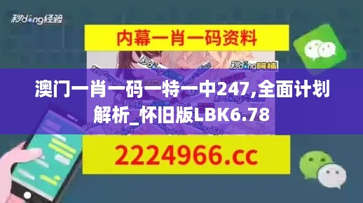 澳门一肖一码一特一中247,全面计划解析_怀旧版LBK6.78