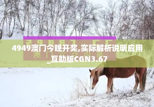 4949澳门今晚开奖,实际解析说明应用_互助版CGN3.67