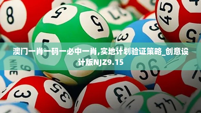 澳门一肖一码一必中一肖,实地计划验证策略_创意设计版NJZ9.15