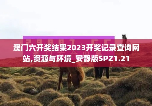 澳门六开奖结果2023开奖记录查询网站,资源与环境_安静版SPZ1.21