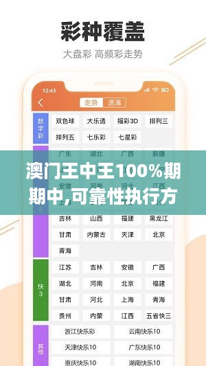 澳门王中王100%期期中,可靠性执行方案_炼气境ZBQ5.24