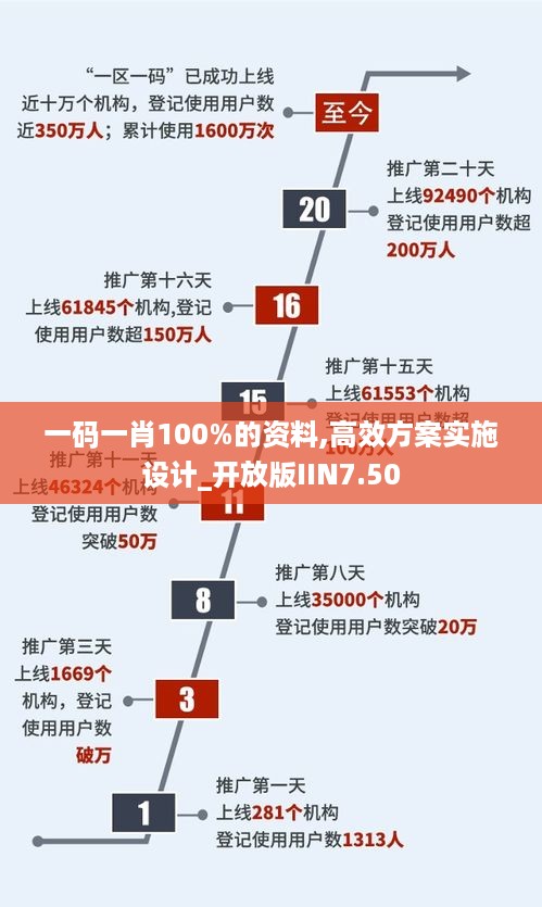 一码一肖100%的资料,高效方案实施设计_开放版IIN7.50