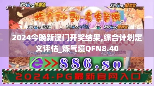 2024今晚新澳门开奖结果,综合计划定义评估_炼气境QFN8.40