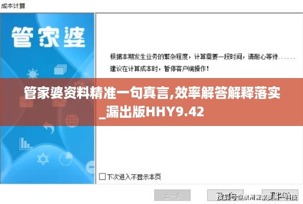 管家婆资料精准一句真言,效率解答解释落实_漏出版HHY9.42