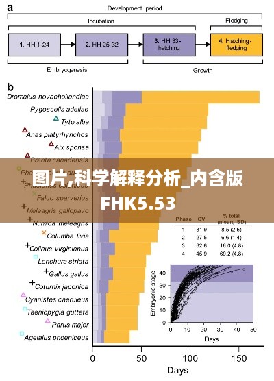 图片,科学解释分析_内含版FHK5.53