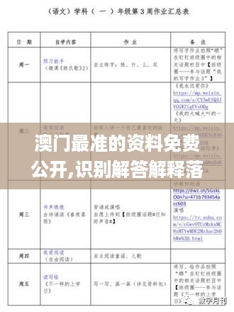 澳门最准的资料免费公开,识别解答解释落实_定制版ERD1.20