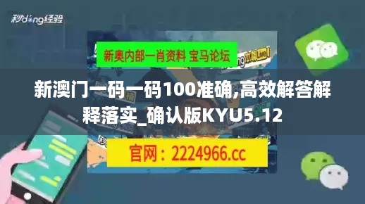 新澳门一码一码100准确,高效解答解释落实_确认版KYU5.12