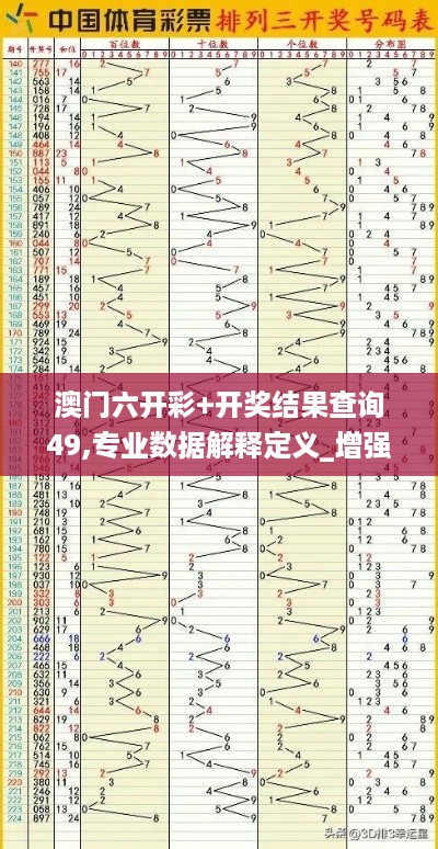 澳门六开彩+开奖结果查询49,专业数据解释定义_增强版RYV1.35