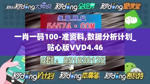 一肖一码100-准资料,数据分析计划_贴心版VVD4.46