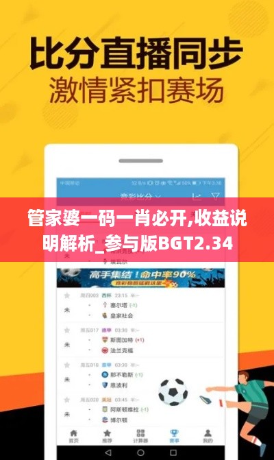 管家婆一码一肖必开,收益说明解析_参与版BGT2.34