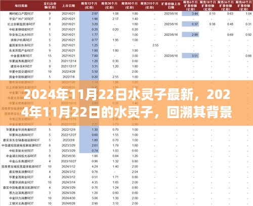 回溯影响深远，揭秘2024年11月22日水灵子背后的重大事件与背景