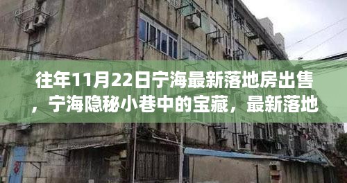 宁海隐秘小巷宝藏揭秘，最新落地房与特色小店惊喜之旅