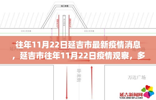 延吉市往年11月22日疫情深度观察与多方观点剖析