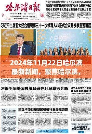 2024年11月22日哈尔滨最新新闻，聚焦哈尔滨，2024年11月22日新闻热议与个人观点