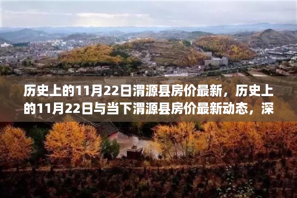 历史上的11月22日与当下渭源县房价深度解析及最新动态评测